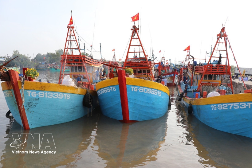 Dong Thap intensifies action to tackle IUU fishing